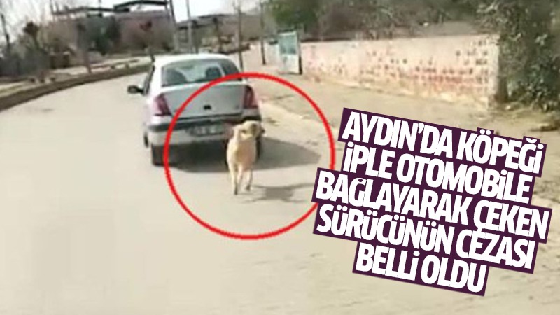 Aydın'da köpeği iple otomobile bağlayarak çeken sürücünün cezası belli oldu