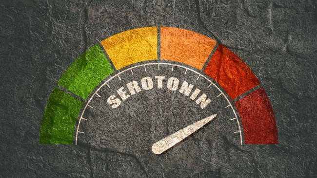 Serotonin Nasıl Artar? Serotonin Miktari Ve Seviyesini Artıran Nedenler Nelerdir?