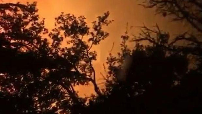 Son dakika: Antalya Kemer’de orman yangını