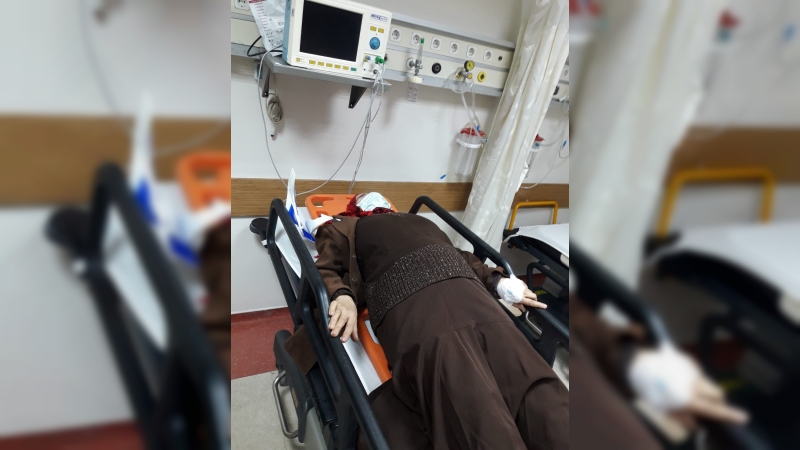 Aydın’da sokak köpekleri yaşlı kadını hastanelik etti