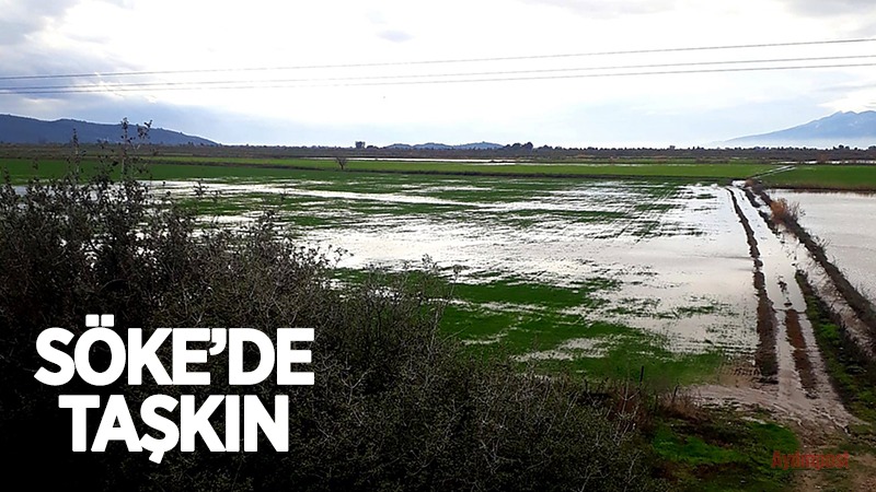 Söke’de yağışlar yaklaşık 2 bin 500 dönüm araziyi sular altında bıraktı