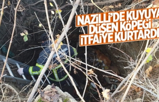 Nazilli'de kuyuya düşen köpeği itfaiye kurtardı